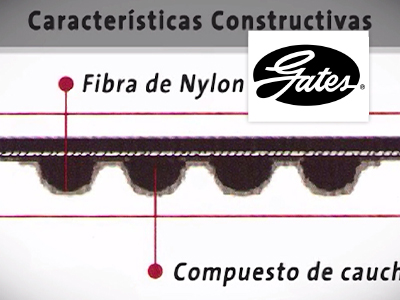 Instructivo Gates: Correas Sincrónicas